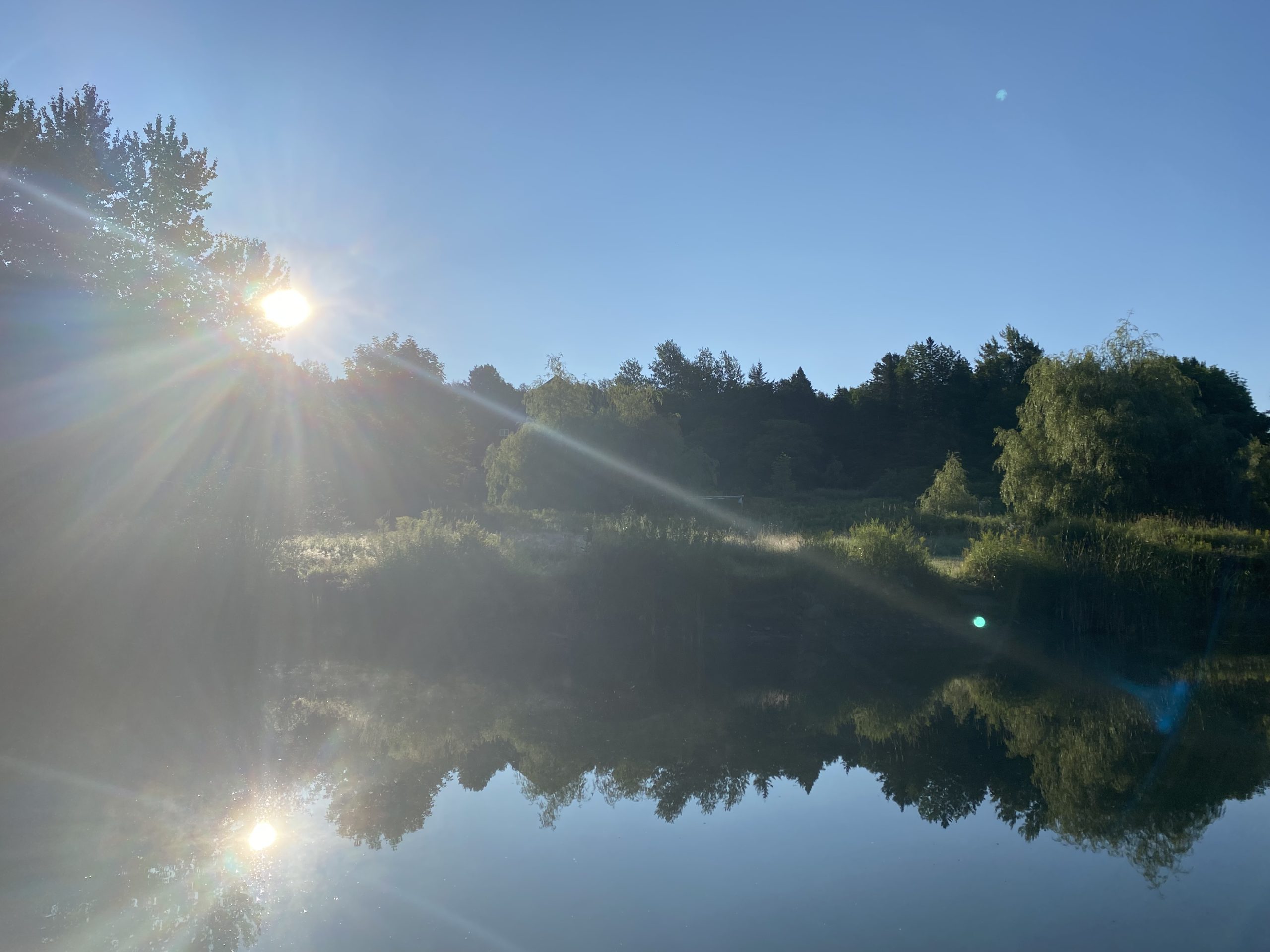The lower pond at Sky Meadow
